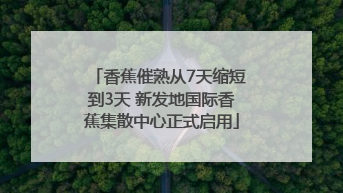 香蕉催熟从7天缩短到3天 新发地国际香蕉集散中心正式启用
