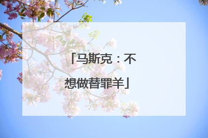 马斯克：不想做替罪羊