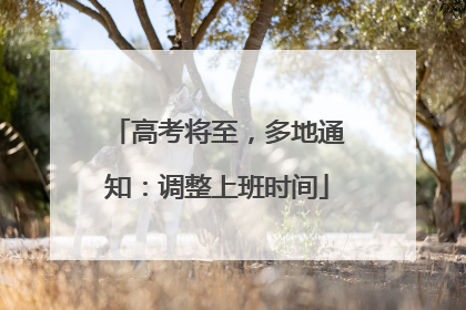 高考将至，多地通知：调整上班时间