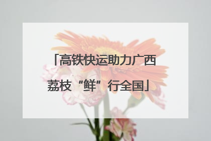 高铁快运助力广西荔枝“鲜”行全国