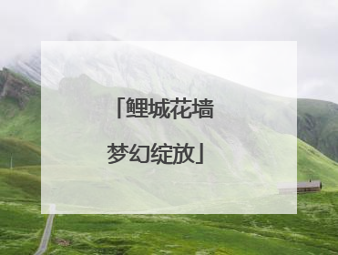 鲤城花墙 梦幻绽放