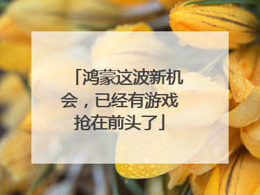 鸿蒙这波新机会，已经有游戏抢在前头了