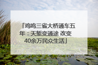 鸡鸣三省大桥通车五年:天堑变通途 改变40余万民众生活