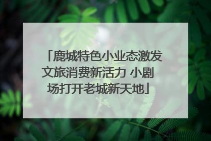 鹿城特色小业态激发文旅消费新活力 小剧场打开老城新天地