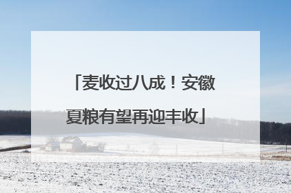 麦收过八成！安徽夏粮有望再迎丰收