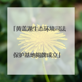 黄盖湖生态环境司法保护基地揭牌成立