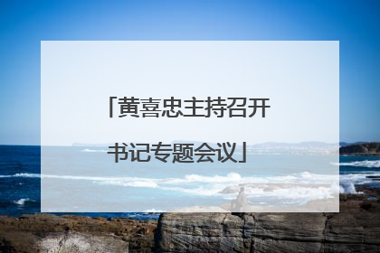 黄喜忠主持召开书记专题会议