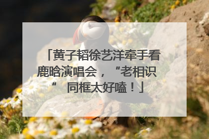 黄子韬徐艺洋牵手看鹿晗演唱会，“老相识” 同框太好嗑！