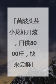 黄陂头茬小龙虾开炫，日供8000斤，快来尝鲜