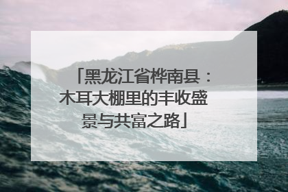 黑龙江省桦南县：木耳大棚里的丰收盛景与共富之路