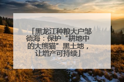 黑龙江种粮大户邹德海：保护“耕地中的大熊猫”黑土地，让增产可持续