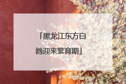黑龙江东方白鹳迎来繁育期