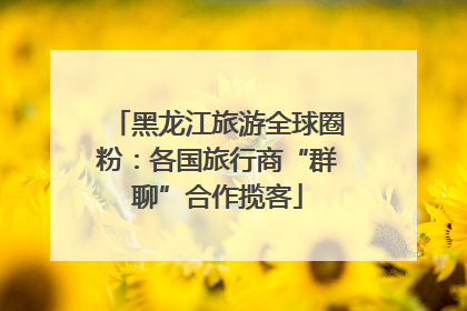 黑龙江旅游全球圈粉：各国旅行商“群聊”合作揽客
