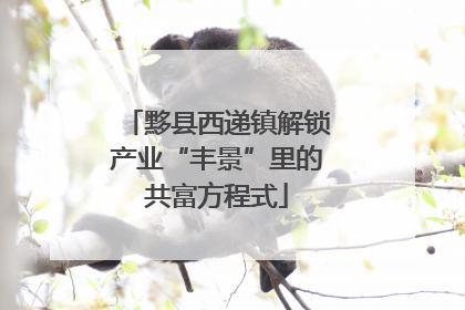 黟县西递镇解锁产业“丰景”里的共富方程式
