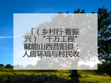 （乡村行·看振兴）“千万工程”赋能山西昔阳县：人居环境与村民收入“双提升”
