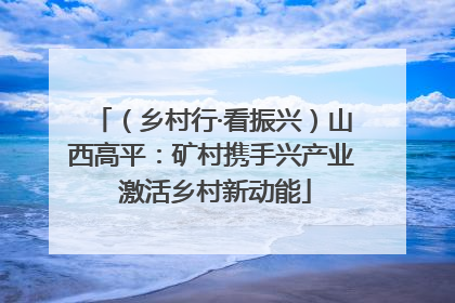 （乡村行·看振兴）山西高平：矿村携手兴产业 激活乡村新动能