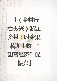 （乡村行·看振兴）浙江乡村：时令果蔬迎丰收 “甜蜜经济”促振兴