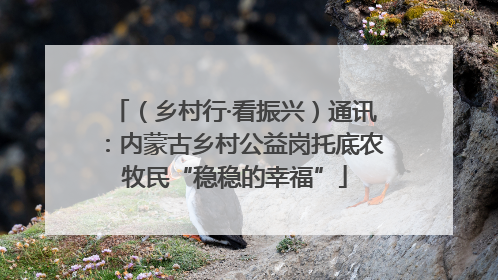 （乡村行·看振兴）通讯：内蒙古乡村公益岗托底农牧民“稳稳的幸福”