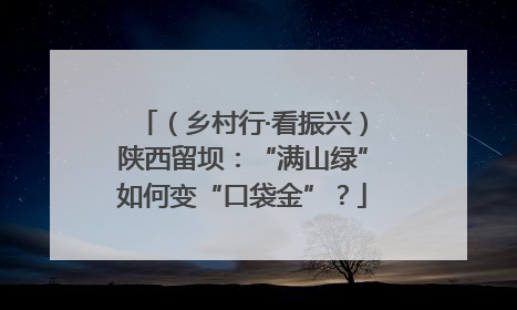 （乡村行·看振兴）陕西留坝：“满山绿”如何变“口袋金”？