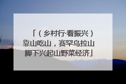 （乡村行·看振兴）靠山吃山，赛罕乌拉山脚下兴起山野菜经济
