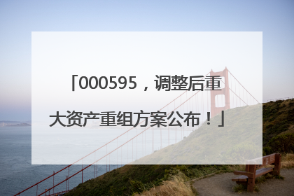 000595，调整后重大资产重组方案公布！