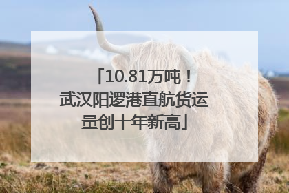 10.81万吨！武汉阳逻港直航货运量创十年新高