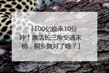 100亿换来10分钟！激活长三角交通末梢，桐乡做对了啥？