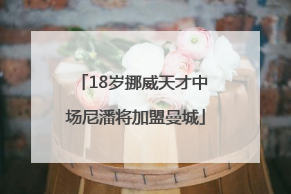 18岁挪威天才中场尼潘将加盟曼城