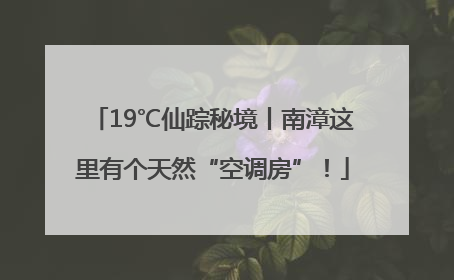 19℃仙踪秘境丨南漳这里有个天然“空调房”！
