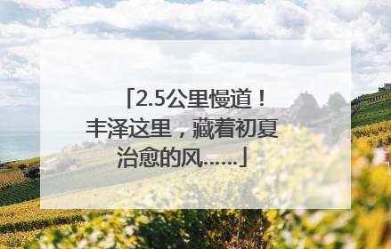 2.5公里慢道！丰泽这里，藏着初夏治愈的风……