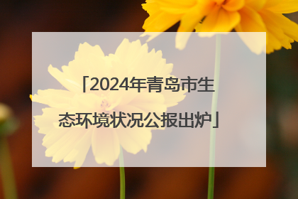 2024年青岛市生态环境状况公报出炉