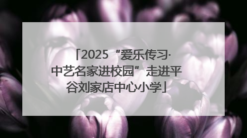 2025“爱乐传习·中艺名家进校园”走进平谷刘家店中心小学