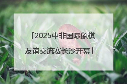 2025中非国际象棋友谊交流赛长沙开幕