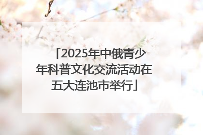 2025年中俄青少年科普文化交流活动在五大连池市举行