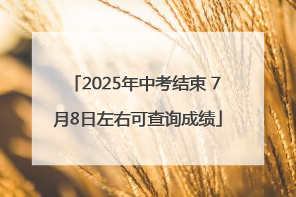 2025年中考结束 7月8日左右可查询成绩