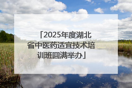 2025年度湖北省中医药适宜技术培训班圆满举办