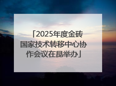 2025年度金砖国家技术转移中心协作会议在昆举办