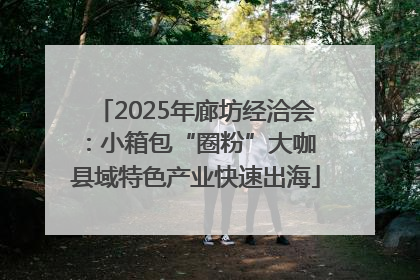 2025年廊坊经洽会：小箱包“圈粉”大咖 县域特色产业快速出海