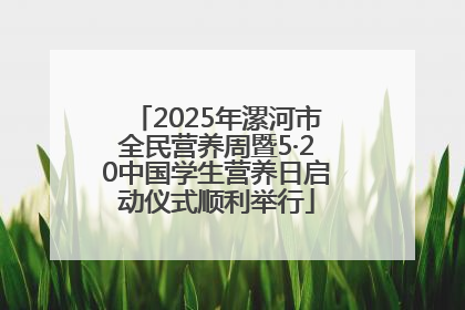 2025年漯河市全民营养周暨5·20中国学生营养日启动仪式顺利举行