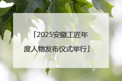 2025安徽工匠年度人物发布仪式举行