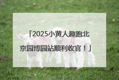 2025小黄人趣跑北京园博园站顺利收官！