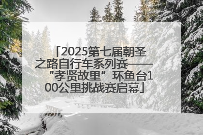 2025第七届朝圣之路自行车系列赛——“孝贤故里”环鱼台100公里挑战赛启幕