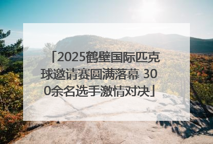 2025鹤壁国际匹克球邀请赛圆满落幕 300余名选手激情对决