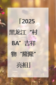 2025黑龙江“村BA”吉祥物“隆隆”亮相