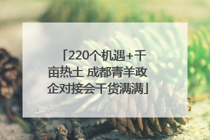 220个机遇+千亩热土 成都青羊政企对接会干货满满