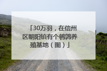 30万羽，在信州区朝阳镇有个鹌鹑养殖基地（图）