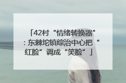 42村“情绪转换器”：东棘坨镇综治中心把“红脸”调成“笑脸”