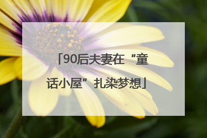 90后夫妻在“童话小屋”扎染梦想