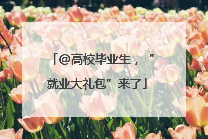 @高校毕业生，“就业大礼包”来了