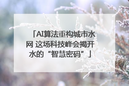AI算法重构城市水网 这场科技峰会揭开水的“智慧密码”